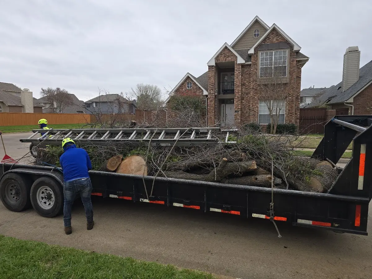 Expert Crown Reduction with proper safety equipment in Rileyville